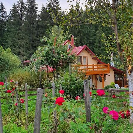 Forest Vibes Spa Cîmpu lui Neag Exterior foto