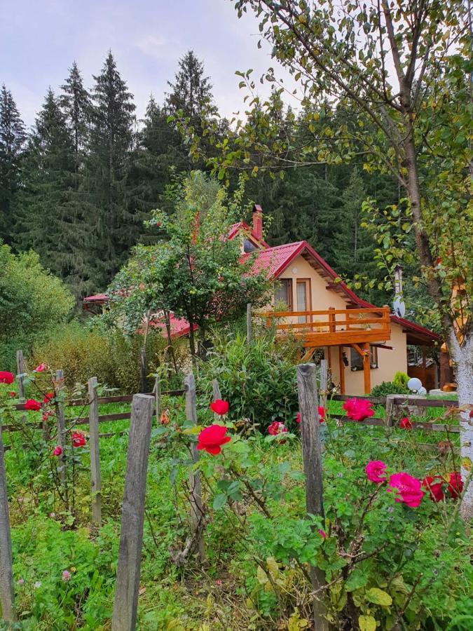 Forest Vibes Spa Cîmpu lui Neag Exterior foto