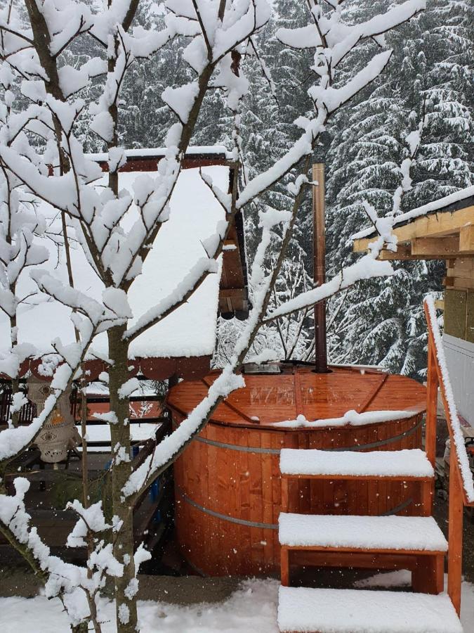 Forest Vibes Spa Cîmpu lui Neag Exterior foto