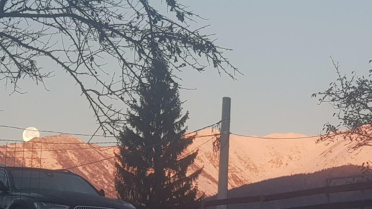 Forest Vibes Spa Cîmpu lui Neag Exterior foto
