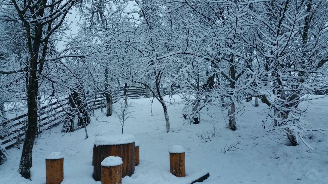 Forest Vibes Spa Cîmpu lui Neag Exterior foto