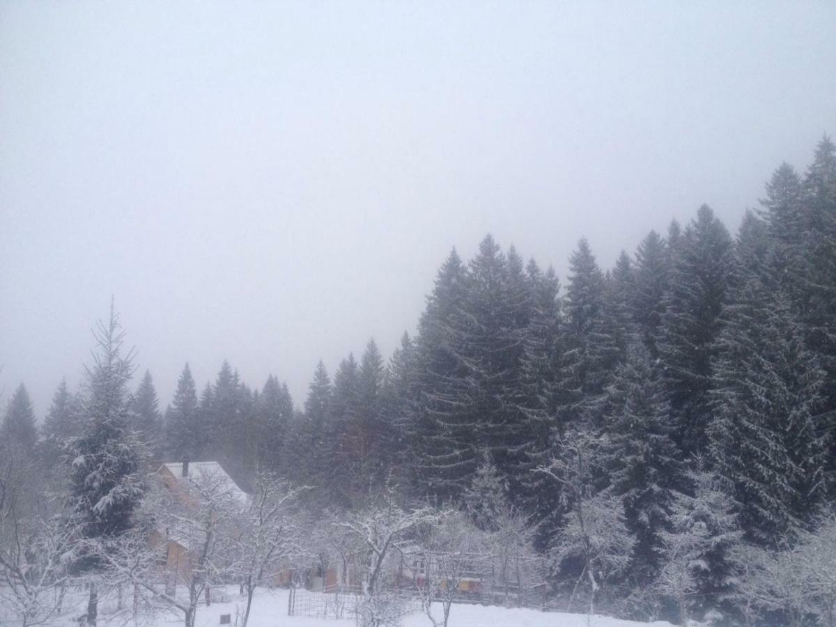 Forest Vibes Spa Cîmpu lui Neag Exterior foto