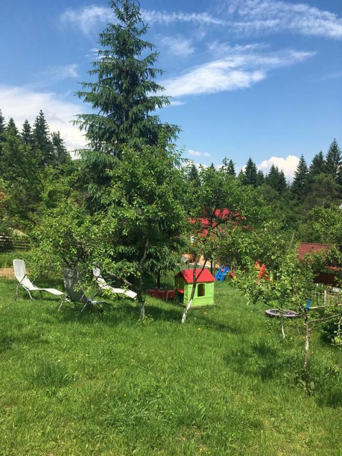Forest Vibes Spa Cîmpu lui Neag Exterior foto