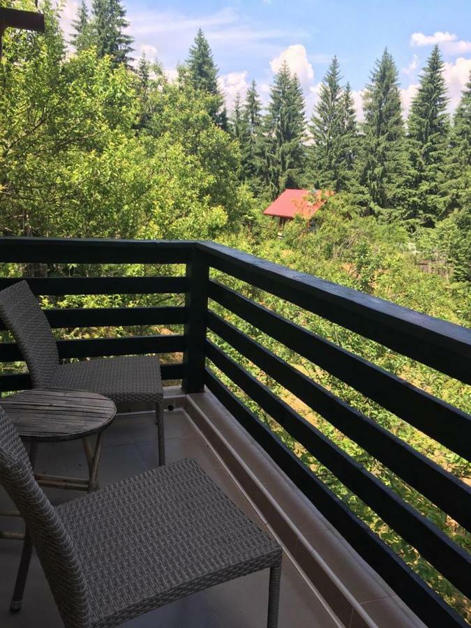 Forest Vibes Spa Cîmpu lui Neag Exterior foto