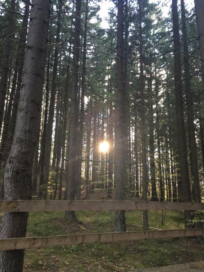 Forest Vibes Spa Cîmpu lui Neag Exterior foto