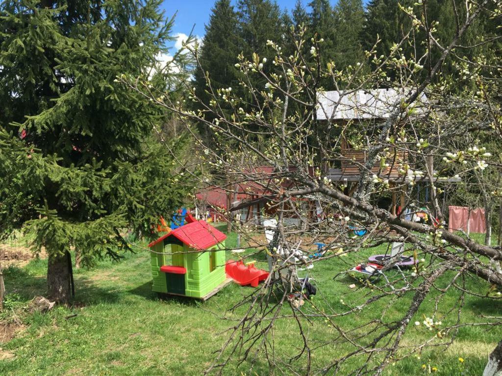 Forest Vibes Spa Cîmpu lui Neag Exterior foto